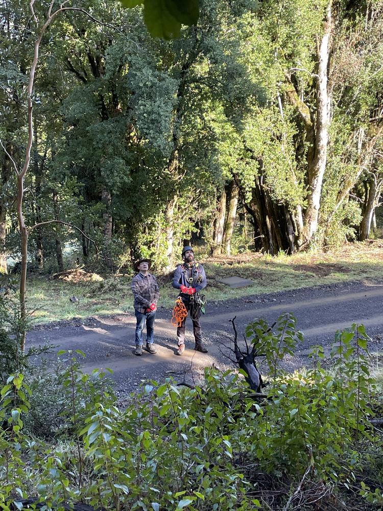 Dos personas del equipo en el camino de acceso durante la faena