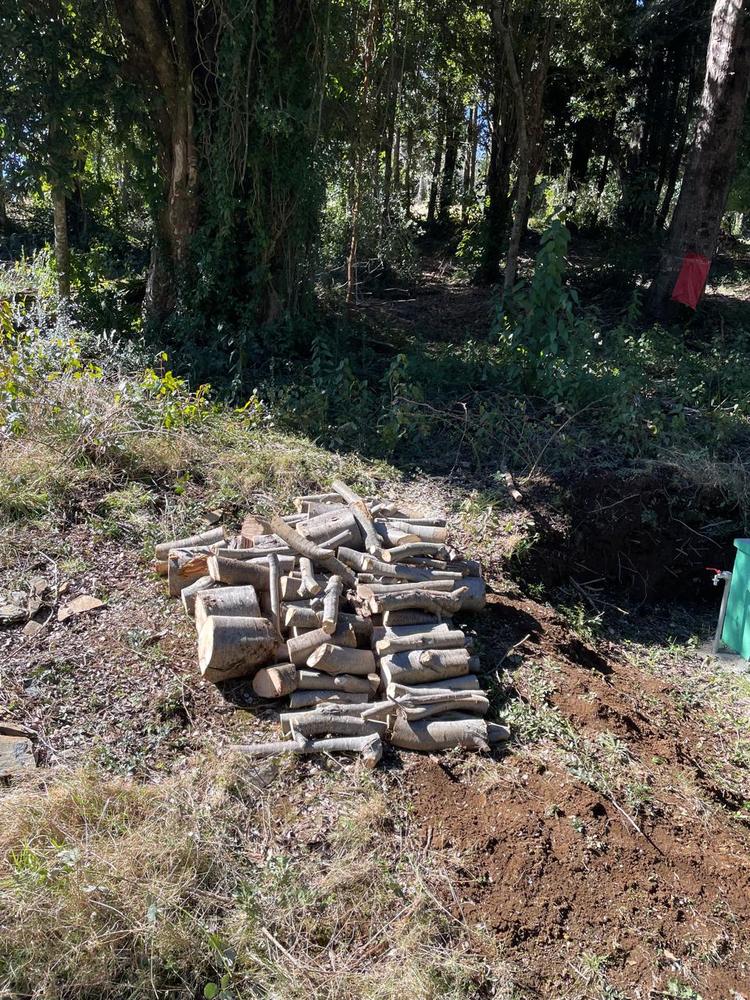 Leña trozada y apilada en el terreno al terminar la poda